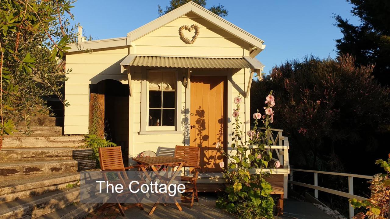 Bluff Hill Bed & Breakfast Napier Exterior foto
